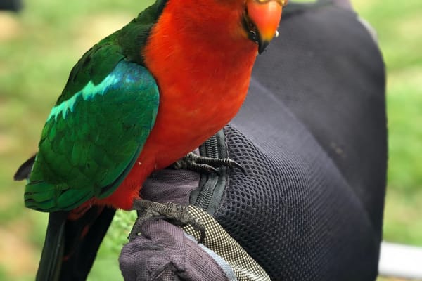 Photo by Allyjane M.