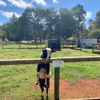 Photo by Corporate to Caravan