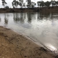 Photo by Karen Ann Richardson