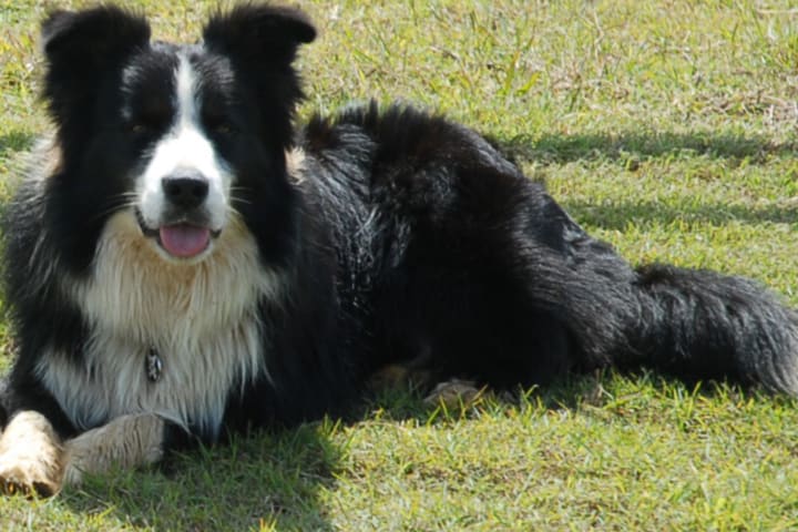 Photo by Gary & Tamara Maile