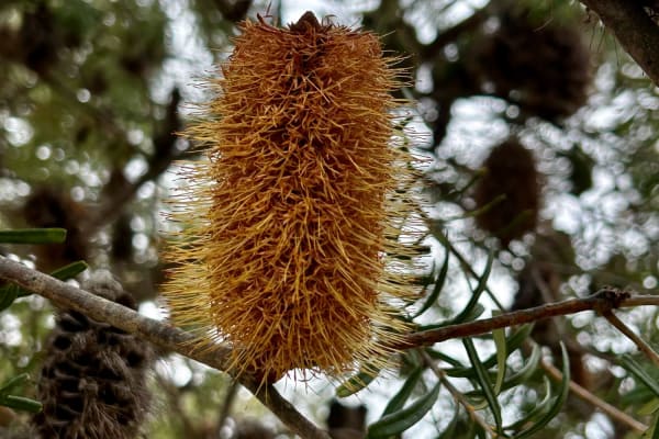 Photo by Chelsea and Jye