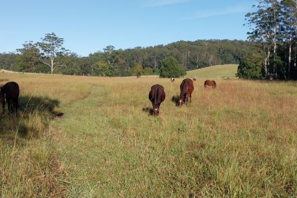 Photo by Colin van den Hoff