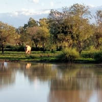 Photo by Charmaine M.