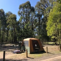 Photo by Gene Catalan Ashling