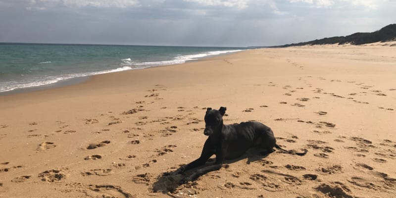 Photo by Benjamin Frederick Riles