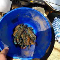 Photo by My Rig Adventures