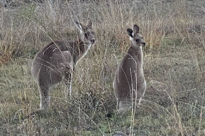 Photo by Cristina B.