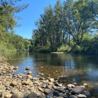 Photo by Louise Le Roux