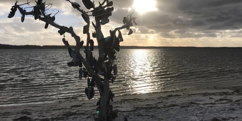 Photo by Donna Shayne Wilkes