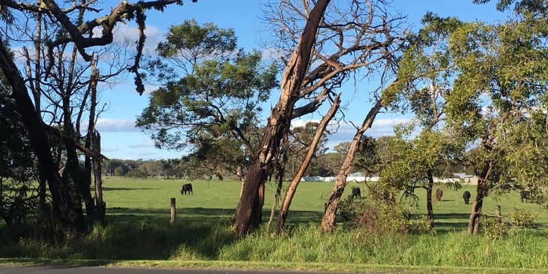Photo of Tarpeena Recreation Park