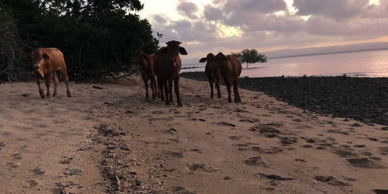 Photo by Samantha M.