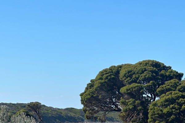 Photo by Catherine E.