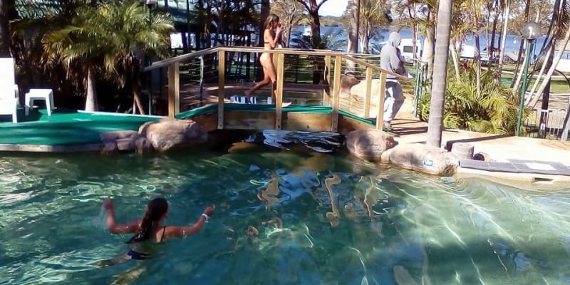 Photo by Tracy N David Ross