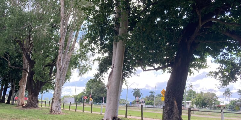 Photo by Lee-Anne F.