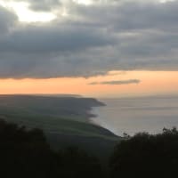 Photo by Brucethegoose