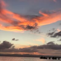 Photo by Samantha M.