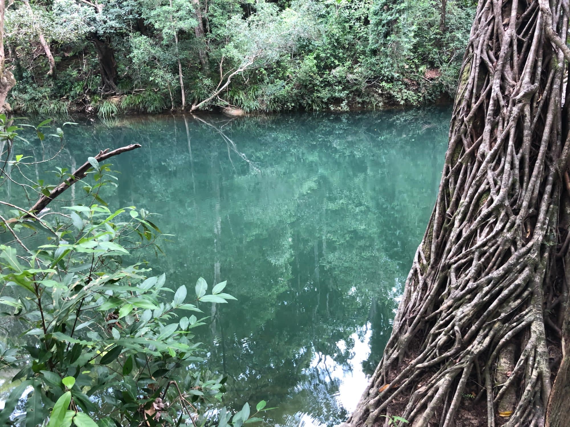 Cedar Bay National Park Anycamp