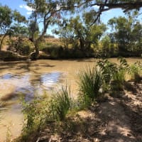 Photo by Elizabeth P.