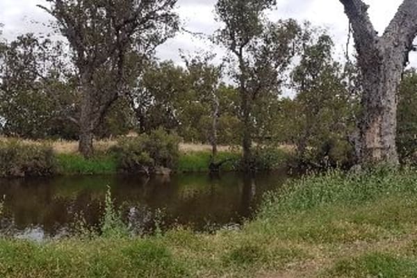 Photo by Connie de Koning