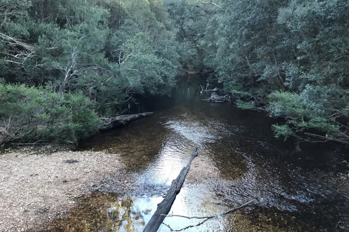 Photo by Stephanie L.