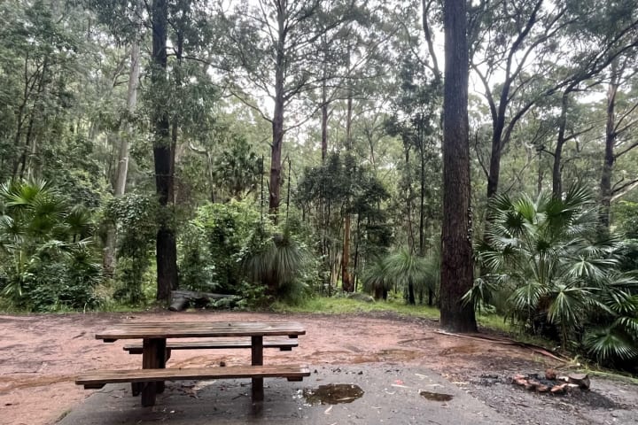 Photo by Eivi from Estonia