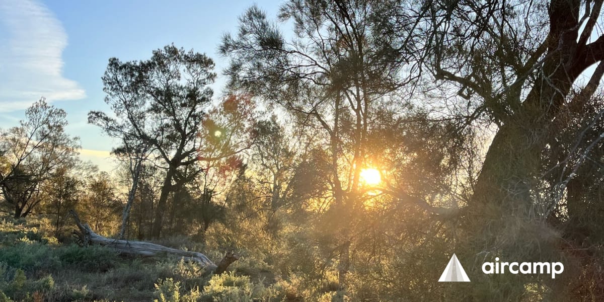 The Willows campground and picnic area Anycamp