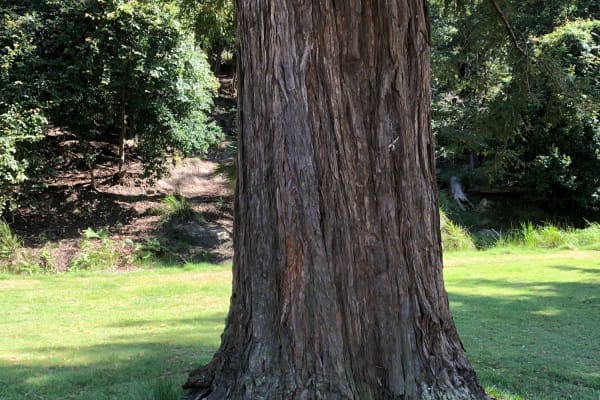 Photo by _haere.ki.waho_