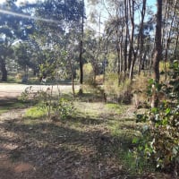 Photo by Lea-ann Mc Arthur