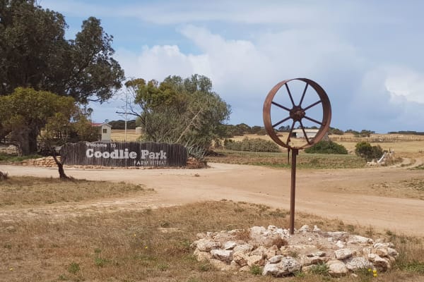 Photo by Olivia Bataligin Averkin