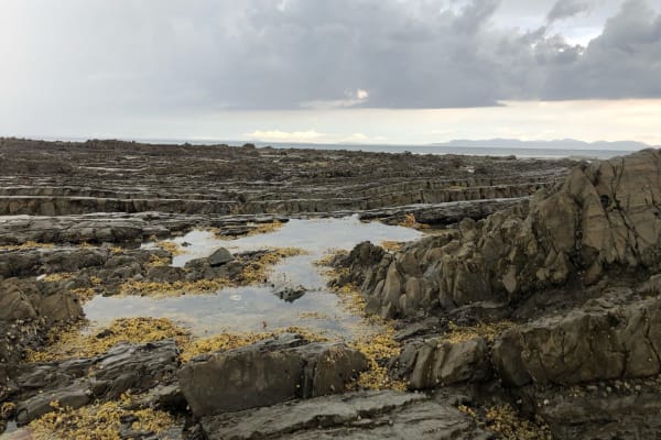 Photo by [deleted user]