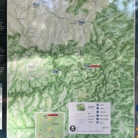 Photo by Eivi from Estonia