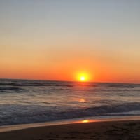 Photo by Brucethegoose