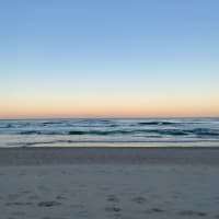 Photo by Celeste and Dan