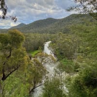 Photo by Courtney  Krause