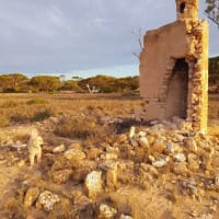 Photo by Donna Alston Hobbs