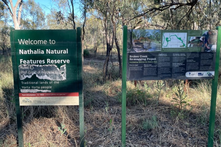 Photo by DaveDuff    CampInNature