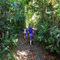 Photo by My Rig Adventures