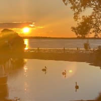 Photo by Kath & Dale