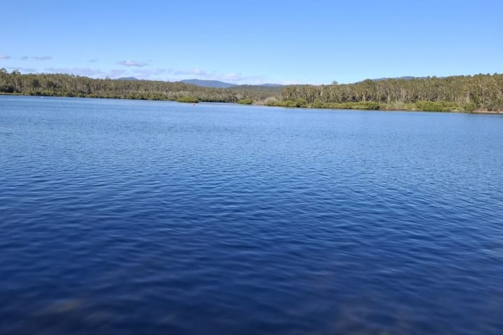 Photo by Kimberly K.