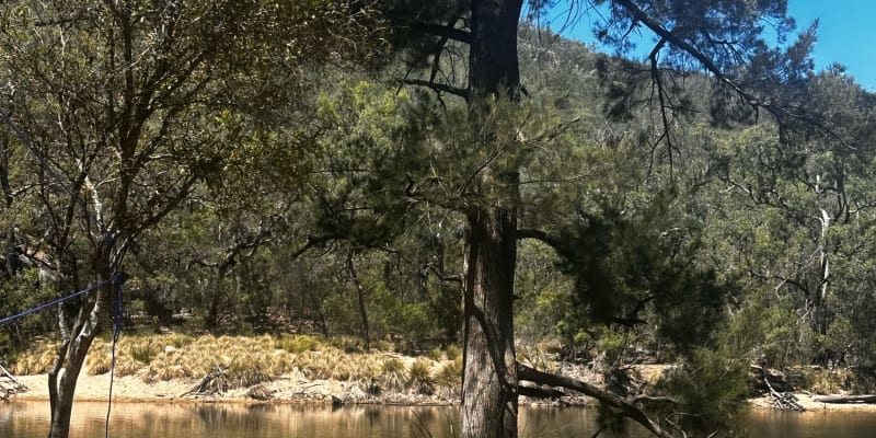 Photo by Rhys Terence Abela