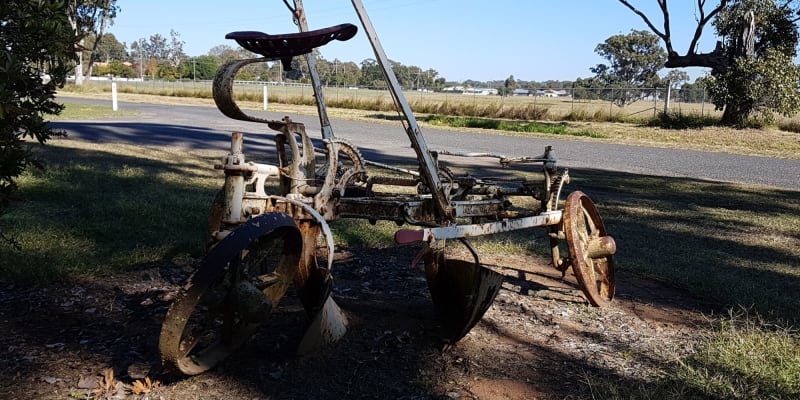 Photo by Michelle C.