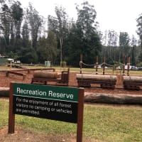 Photo by Margaret R.