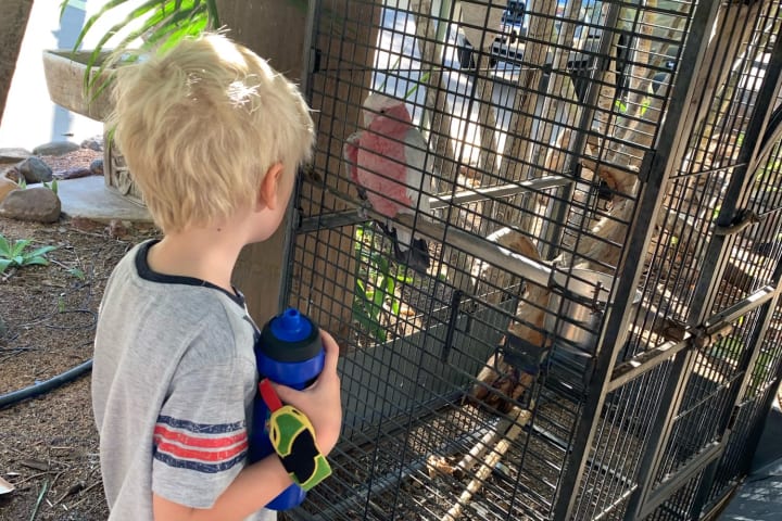 Photo by Corporate to Caravan