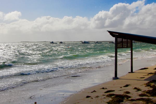 Photo by Four Hands in a Tin Can