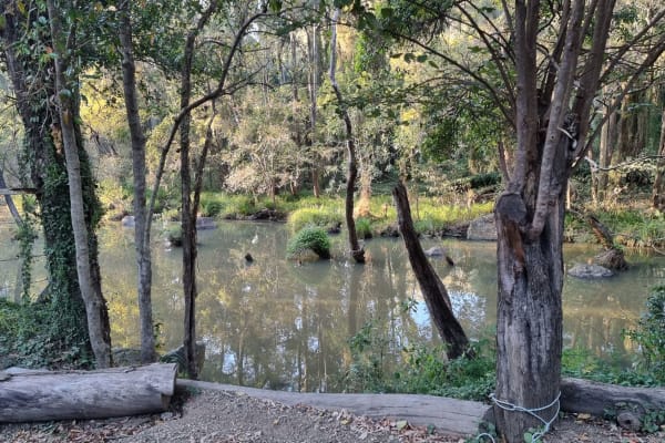 Photo by Charmayne R.