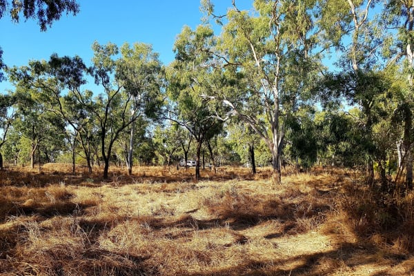 Photo by My Rig Adventures