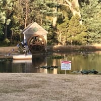 Photo by The blonde nomads