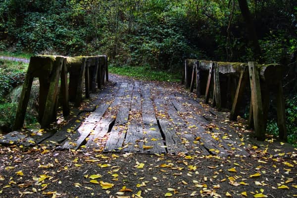 Photo by Jaspreet S.