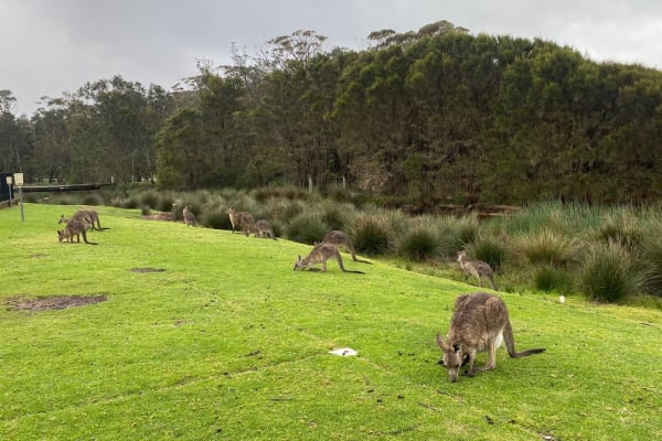 Photo by Krishantha E.