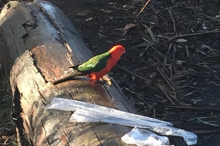 Photo by Muhammad T.